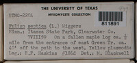 Image Associated With the Occurence